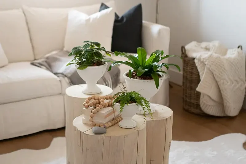 Adding Natural Elements