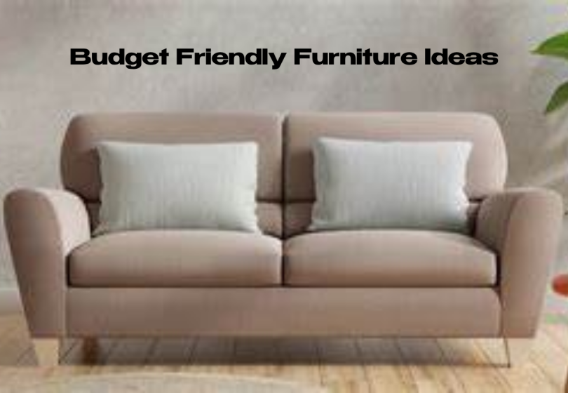 Budget Friendly Furniture Ideas