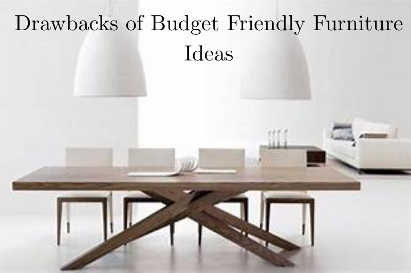 Drawbacks of Budget Friendly Furniture Ideas