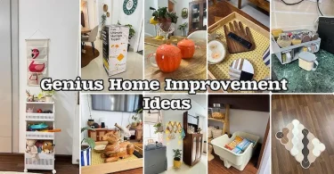 Home Improvement Ideas