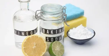 Natural Cleaning Solutions